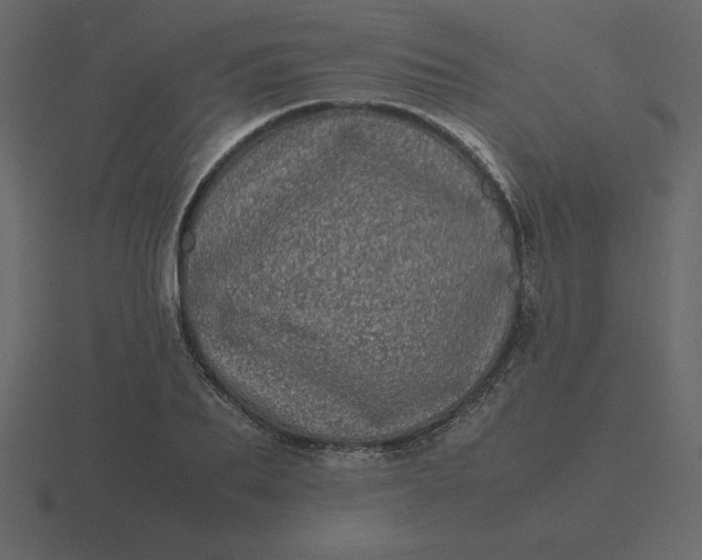 X0000116600887200912241711
