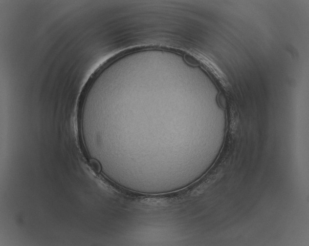 X0000116600888200912241711