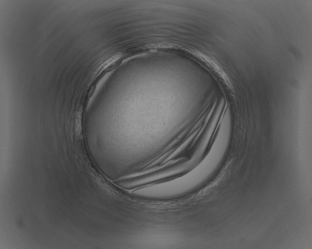 X0000116600889200912241711