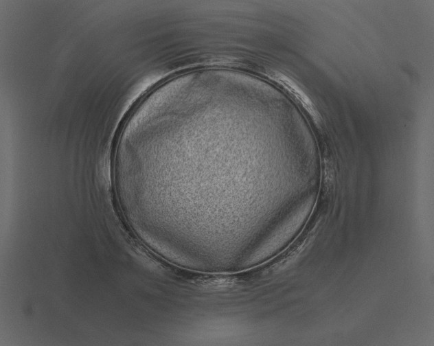 X0000116600891200912241711