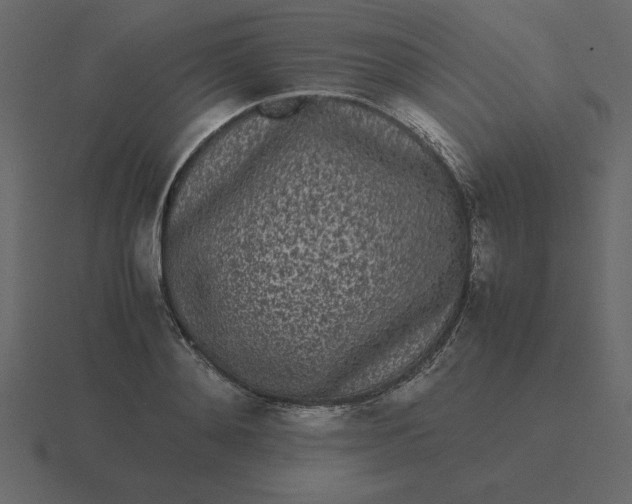 X0000116600892200912241711