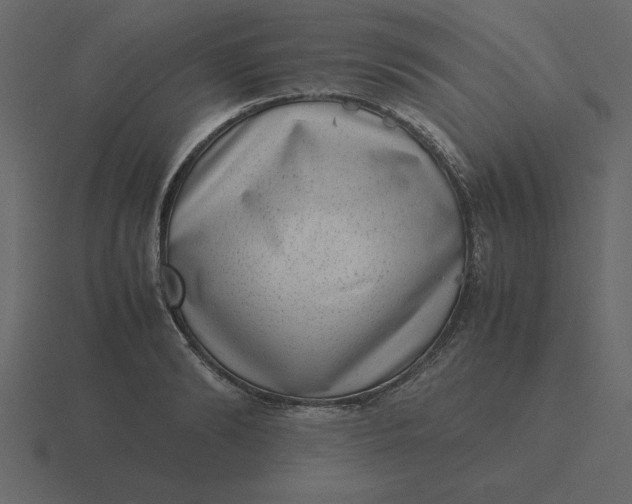 X0000116600894200912241711
