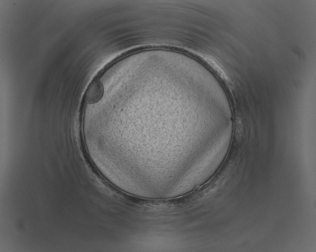 X0000116600895200912241711