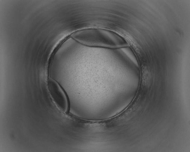 X0000116600896200912241711