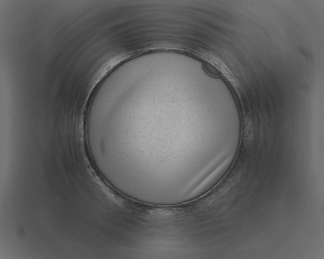 X0000116600898200912241711