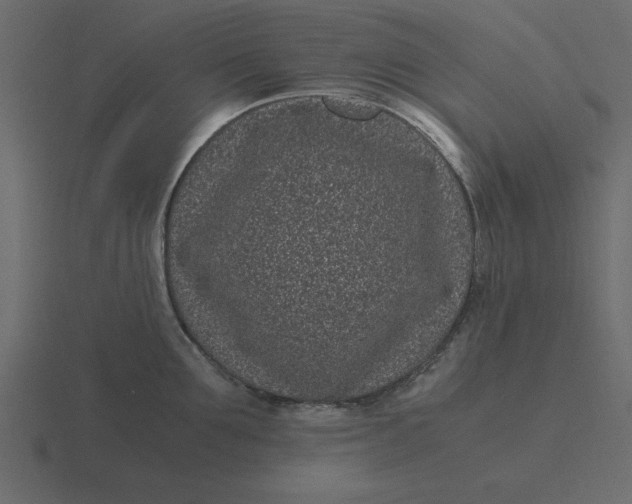X0000116600907200912241711