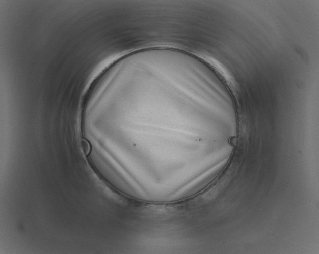 X0000116600910200912241711