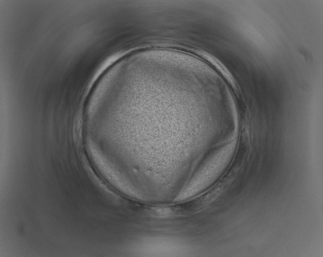 X0000116600911200912241711