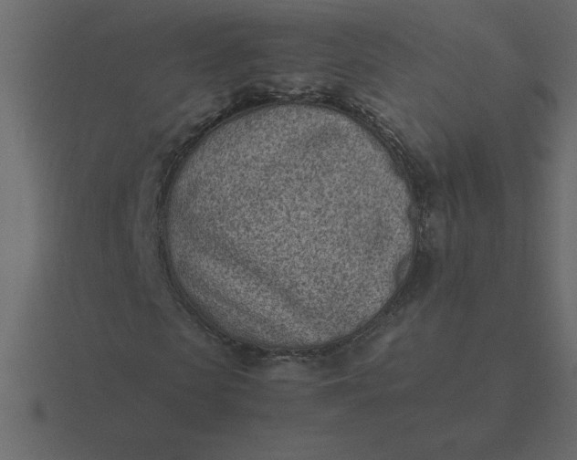 X0000116600913200912241710