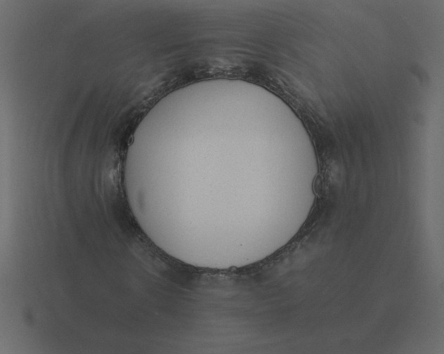 X0000116600914200912241710