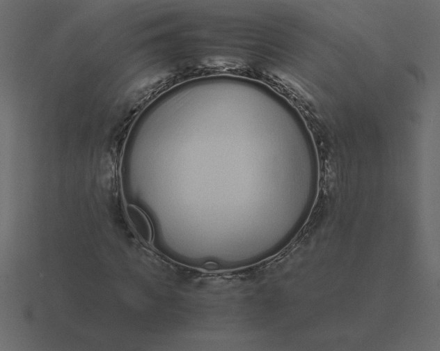 X0000116600917200912241710