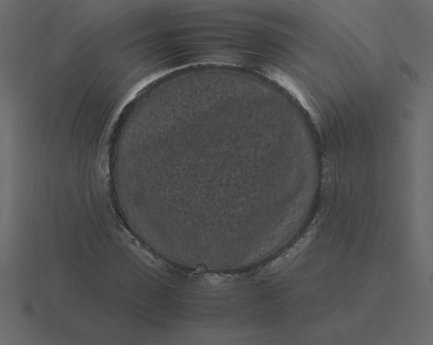 X0000116600923200912241711
