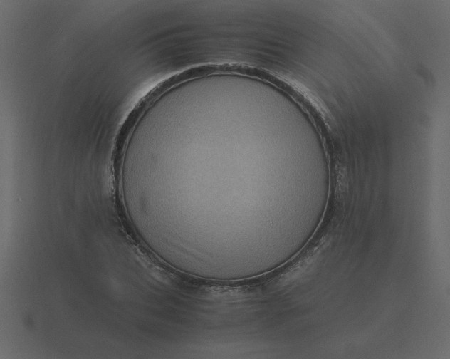 X0000116600927200912241711