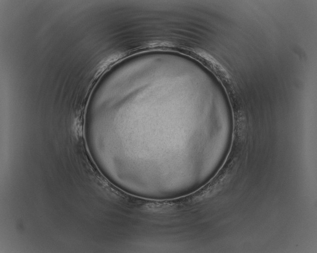 X0000116600929200912241711