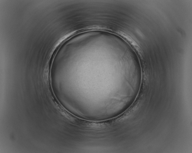 X0000116600933200912241711