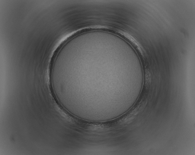 X0000116600935200912241711