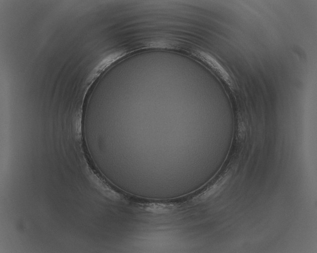 X0000116600938200912241711