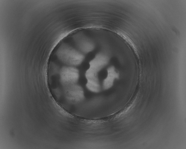 X0000116600941200912241711