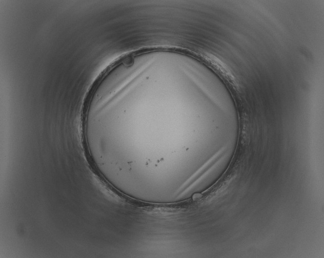 X0000116600942200912241711