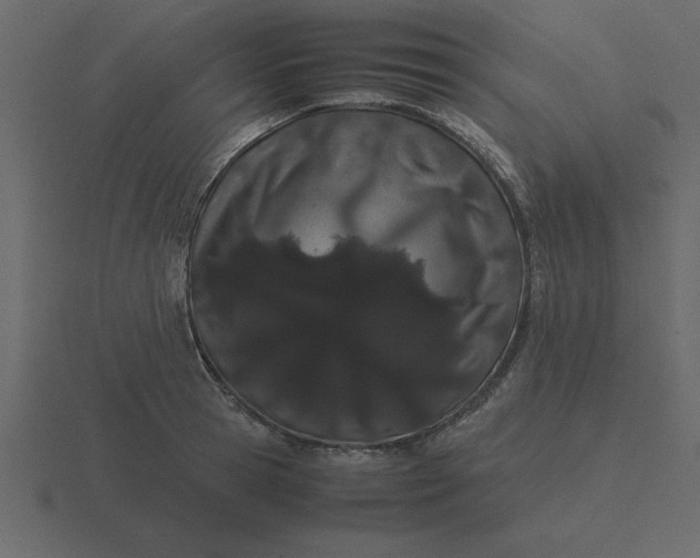 X0000116600945200912241711
