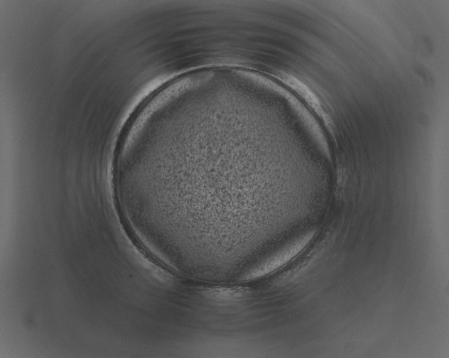 X0000116600947200912241711