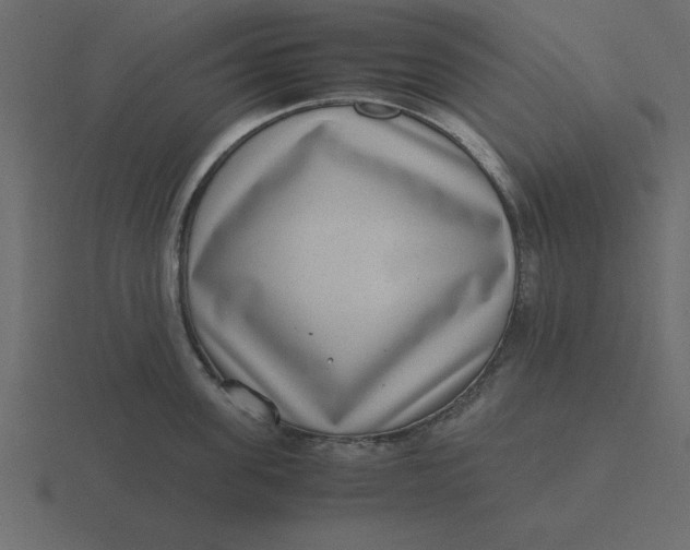 X0000116600955200912241711