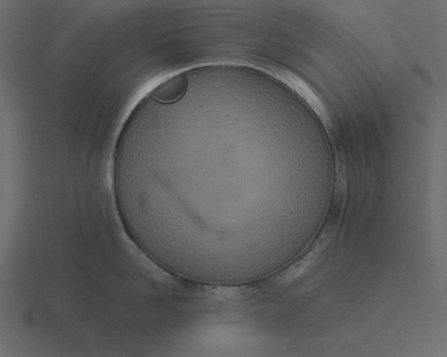 X0000116600958200912241711