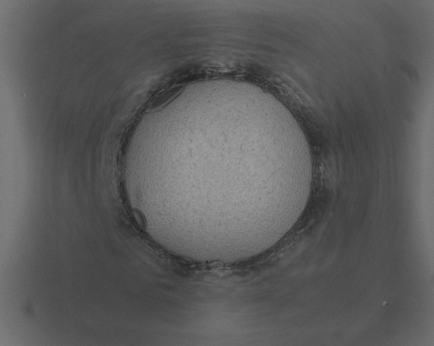 X0000116600961200912241710