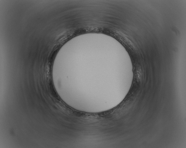 X0000116600964200912241710
