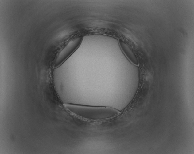 X0000116600965200912241710