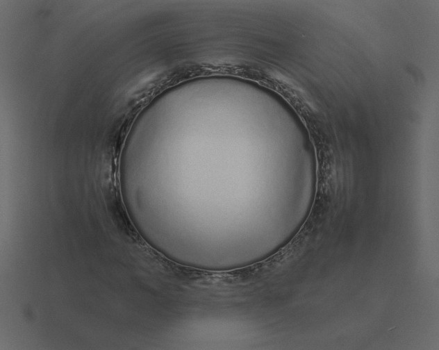 X0000116600966200912241710