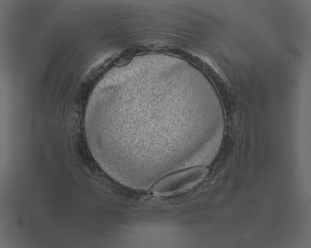 X0000116600967200912241710