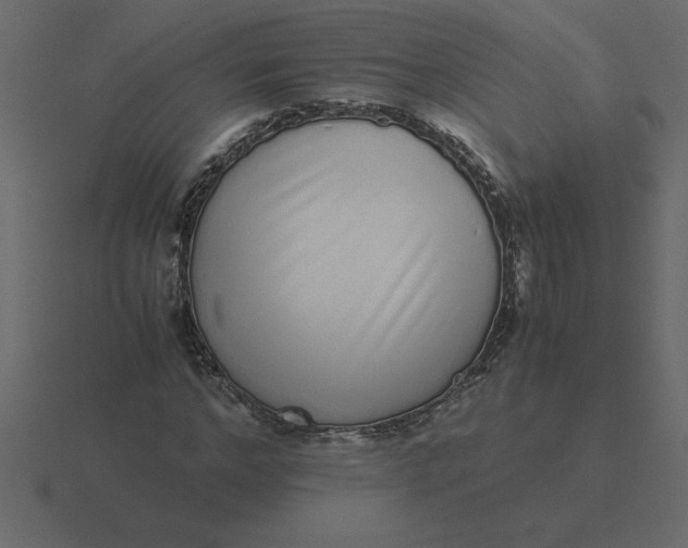 X0000116600968200912241710