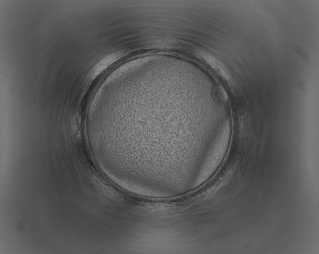 X0000116600970200912241710