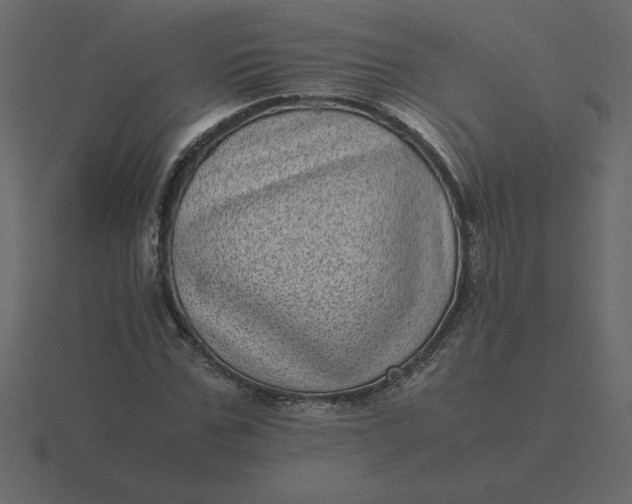 X0000116600971200912241710