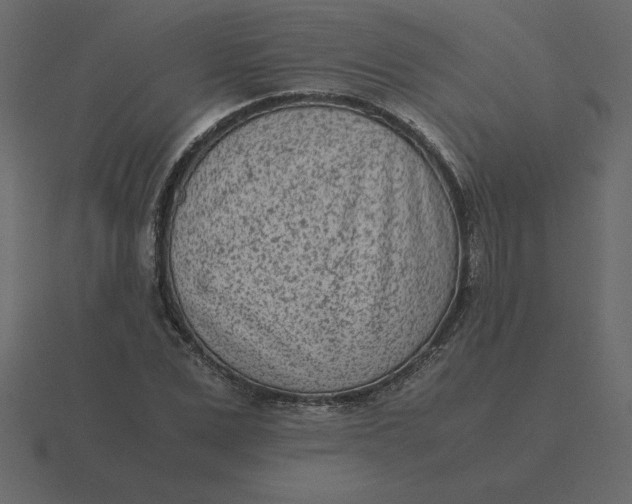 X0000116600975200912241710