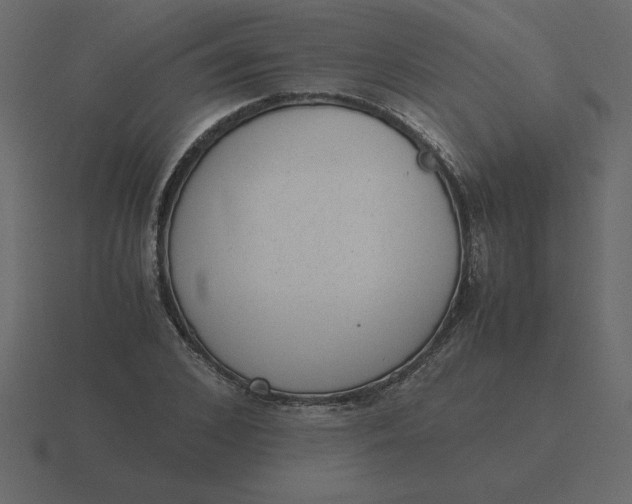 X0000116600976200912241710