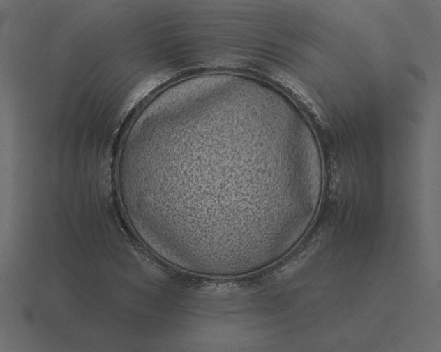 X0000116600978200912241710