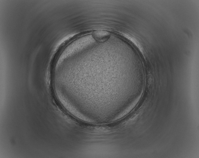 X0000116600979200912241710
