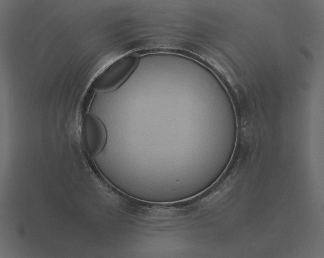 X0000116600981200912241710