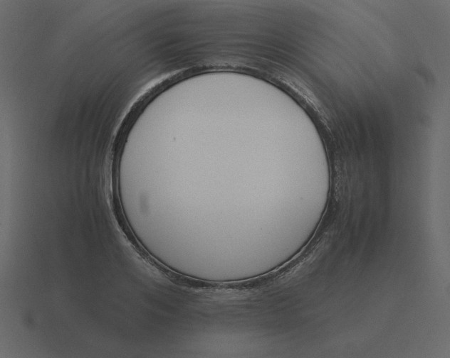 X0000116600984200912241710