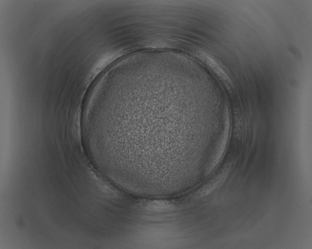 X0000116600986200912241710