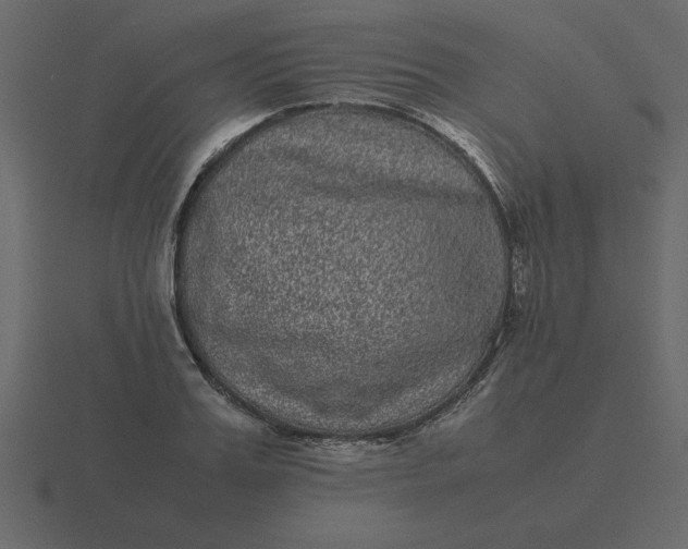 X0000116600987200912241710