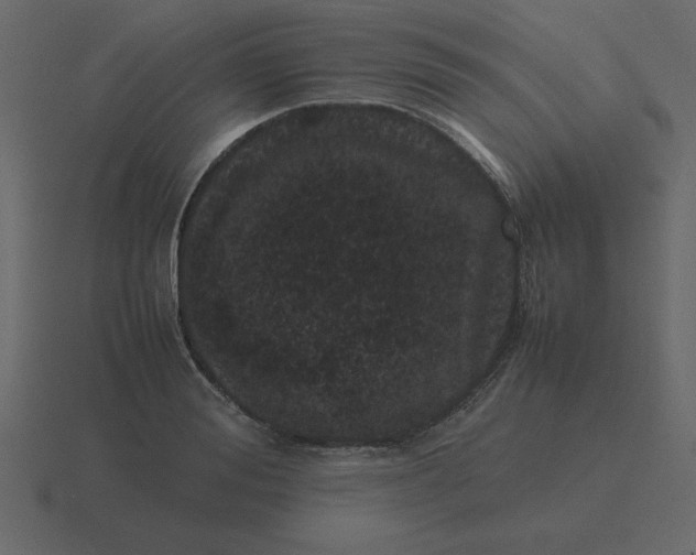 X0000116600988200912241710