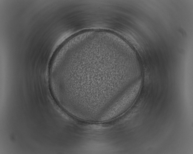 X0000116600990200912241710