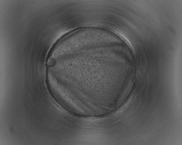 X0000116600992200912241710