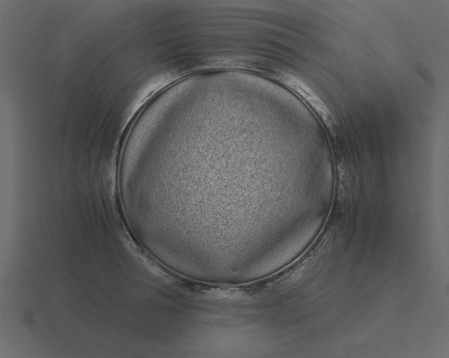 X0000116600994200912241710