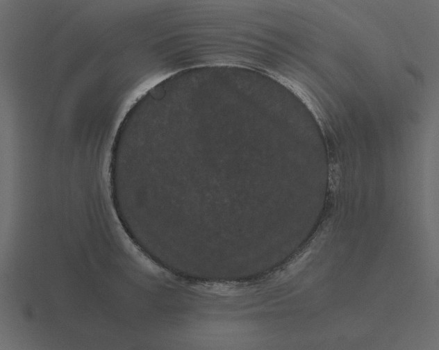 X0000116600995200912241710