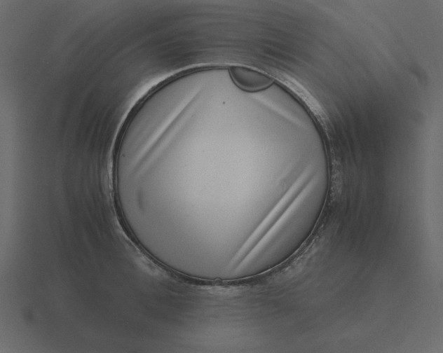 X0000116600996200912241710