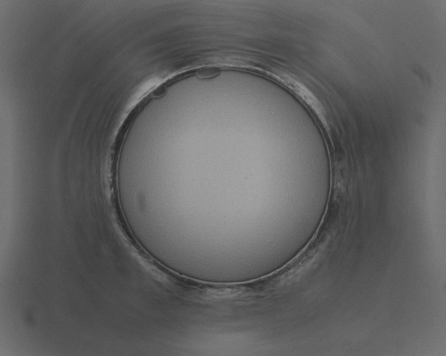 X0000116600997200912241710